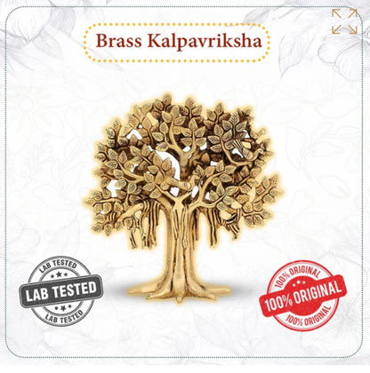 The Tree of Abundance – Kalpvriksha