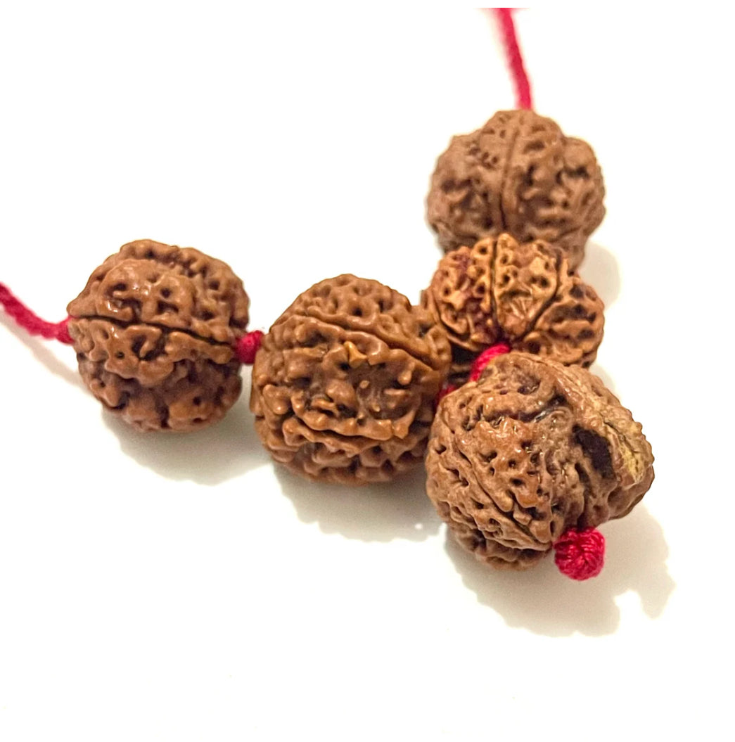 Sarv Karya Siddhi Kawach