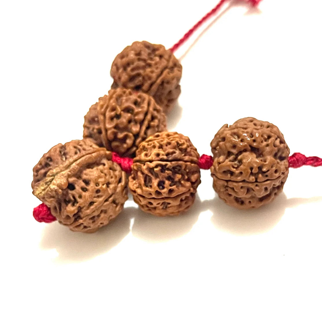 Sarv Karya Siddhi Kawach