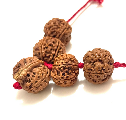 Sarva Karya Siddhi Kawach