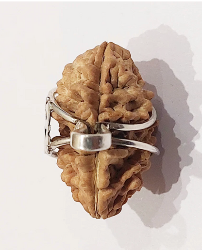 Ek Mukhi (South Indian) With .925 Silver Om Pendant